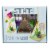 STMT D.I.Y. Crystal Healing Terrarium Perspective: front