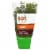 Soli Organic™ Living Thyme Perspective: front