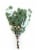 Continental Floral Greens 4 Stem Eucalytus Perspective: front