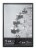 Elsa L Modern Flat Poster Frame - Black Perspective: front