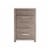 Emerald Home Furnishings Lakeview Oakley 5 Drawer Chest Perspective: front