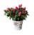 Mother's Day Fresh Azalea Plant in 4 inch Tin Perspective: front