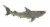 Verdigris Wood Shark Wall Sculpture Metal Accent Decorative Hanging Plaque Art Perspective: front