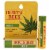 BURTS BEES HEMP LIP BALM BLISTERED .15OZ Perspective: front