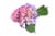 Airbrushed Pink/Purple Hydrangea Bouquet Perspective: front