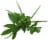 Mixed Greens Perspective: front