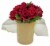 Belle Blooms Arrangement Perspective: front