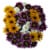 Jumbo Poms Assorted Bouquet Perspective: front