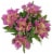 Astronova Floral Arrangement Perspective: front