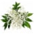 Assorted Filler Green Bunch Bouquet Perspective: front