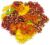 Fresh Picked Poms Fresh Cut Flower Bouquet Perspective: front