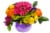 Festival of Flowers Fresh Arrangement in Vase Perspective: front