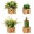 Bambeco LED Artificial Plant with Wood Box Perspective: front