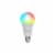 Energizer Connect Smart LED Bulb White and Multi-Color A19 (EAC2-1002-RGB) ENRGA19RGBWHT Perspective: front