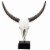Wild & Beautiful Cow Skull, Resin- Saltoro Sherpi Perspective: front
