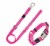 Pet Life Advent Outdoor Series Reflective Durable Martingale Training Dog Leash and Collar Perspective: front