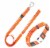 Pet Life Advent Outdoor Series Reflective Durable Martingale Training Dog Leash and Collar Perspective: front