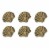 Set of 6 Gold Cast Iron Scallop Sea Shell Drawer Pulls Nautical Cabinet Knobs - Gold Perspective: front