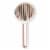 Pet Life Concepto Modern Bristle Grooming Pet Deshedder Comb Perspective: front