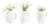 LiveTrends Potted Succulent Perspective: front