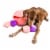 Midlee Hide a Ball Dog Toy - Pink/Purple (Large) Perspective: front