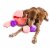 Midlee Hide a Ball Dog Toy - Pink/Purple (Large) Perspective: front