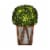 Teamson Home Rounded Artificial Topiary Shrub Pre-Lit Solar Powered LED Lights Perspective: front