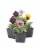 Fresh Pansy Solid Flat Perspective: front