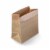 Scrap Sack Compostable Food Waste Bags Perspective: front