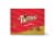 DeMets® Original Pecan Turtles® Holiday Candy Gift Box Perspective: front