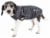 Pet Life Active Aero-Pawlse Heathered Quick-Dry Performance Dog Tank Top T-Shirt Perspective: front