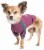 Dog Helios Eboneflow Mediumweight Flexible And Breathable Performance Dog Yoga T-Shirt Perspective: front