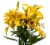 Tango-LA´s Lily Box Perspective: front