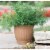 Bloem CLN12-43 12 Colonnade Wood Resin Planter, Dark Earth Perspective: front