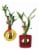 99 International Small Home Décor Lucky Bamboo Perspective: front