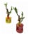 99 International Novelty Home Décor Lucky Bamboo Perspective: front