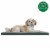 FurHaven Kennel Pad Pet Bed - Green Perspective: front