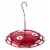 More Birds® Hummingbird Plastic Nectar Feeder Perspective: front