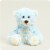 Warmies - Regular - Baby Boy Bear Perspective: front