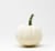 Pumpkin Patch Pals Casper White Ornamental Pumpkin Perspective: front