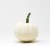 Pumpkin Patch Pals Casper White Ornamental Pumpkin Perspective: front