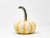 Pumpkin Patch Pals Tiger Stripe Ornamental Pumpkin Perspective: front