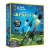National Geographic Light Up Air Rocket Kit Perspective: front