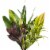 Rose Lily Combination Bouquet Perspective: front