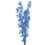 Delphinium Flowers Perspective: front