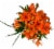 Assorted Lily Flower Bouquet Perspective: front