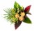 Cold Resistant Tropical ECB Bouquet Perspective: front