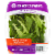80 Acres Farms® Wild Child Arugula Mix Perspective: front