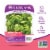 80 Acres Farms® Butter Me Up Zero Pesticides Salad Perspective: front