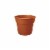 Bloem 12in Dura Cotta Planter Terra Cotta DC12-46 Perspective: front